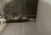 Small bit of mould on wall under the washbasin