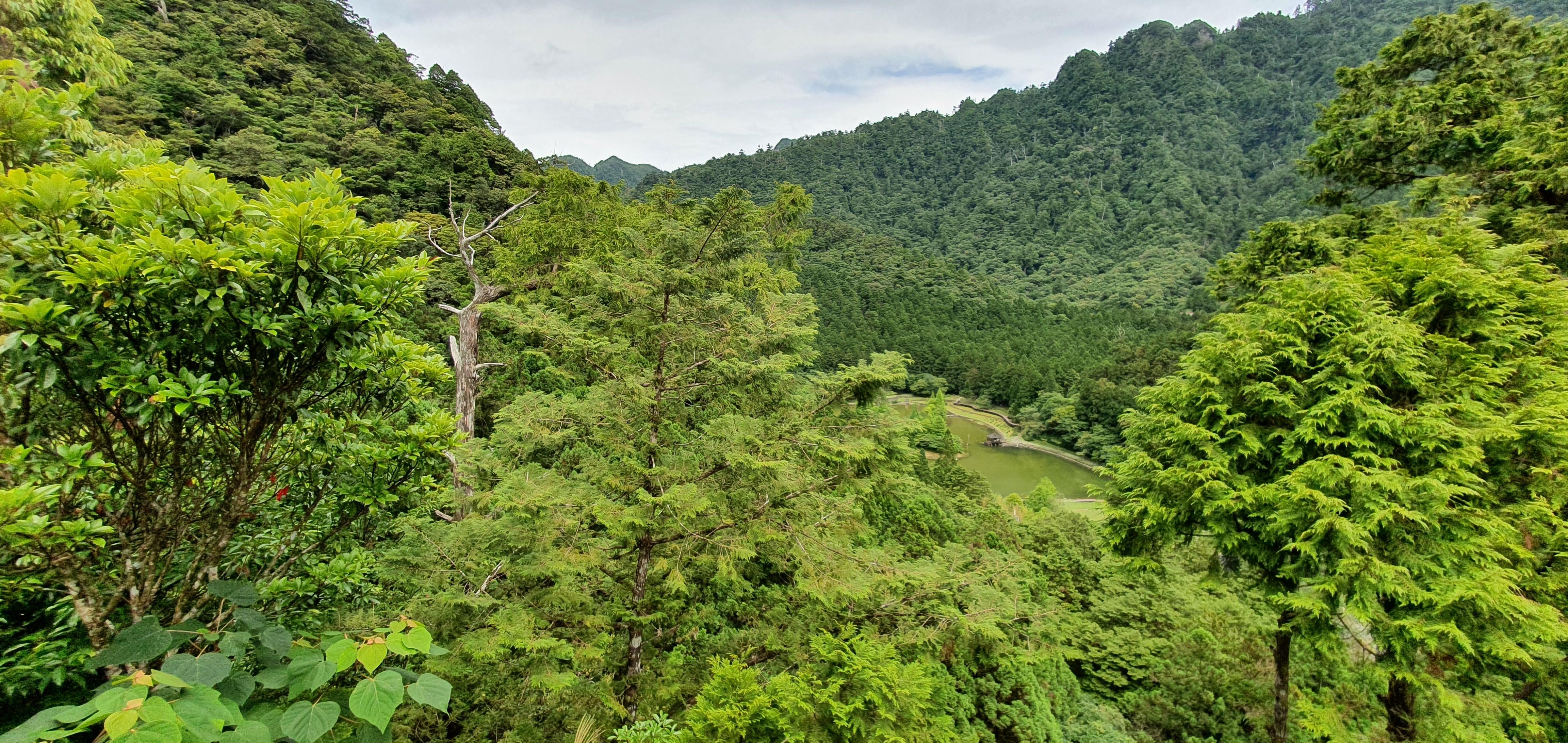 明池遊樂區裡面的步道，爬高後的視野極佳。
