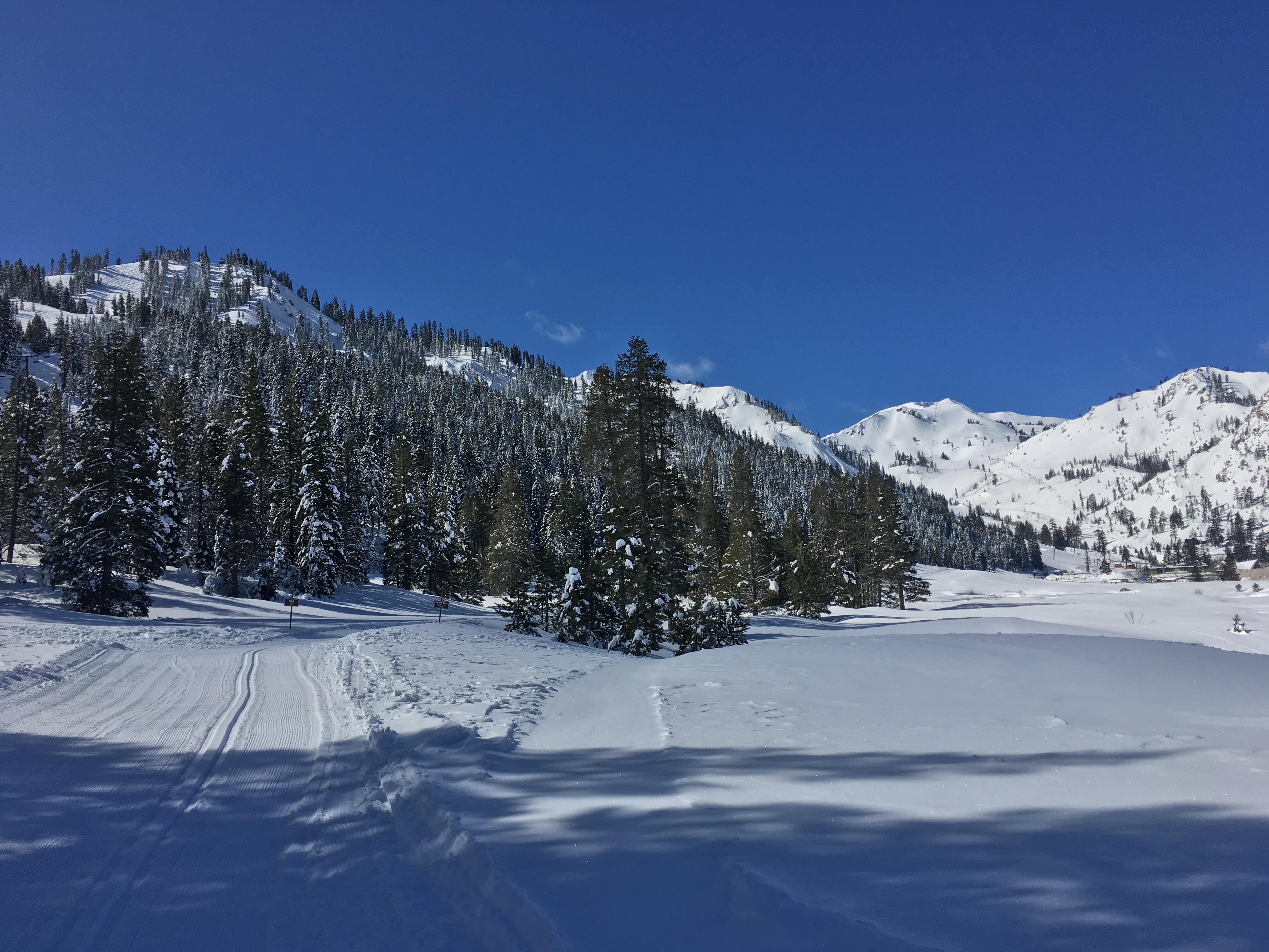 Winter or summer here is amazing 