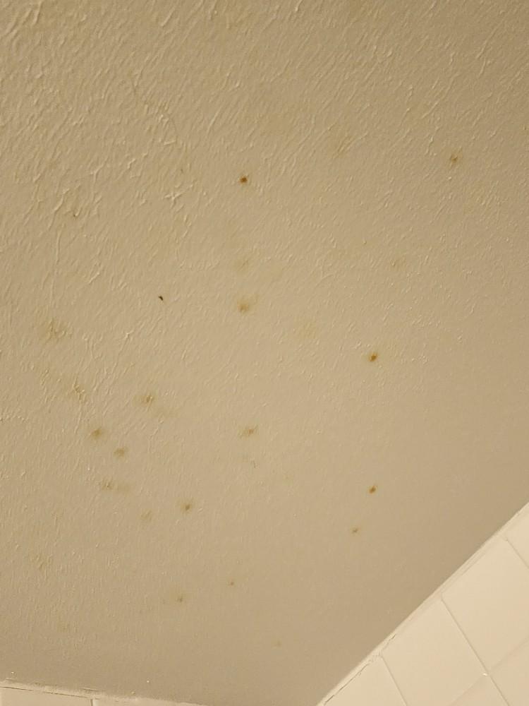 Moldy bathroom ceiling. Staff claims, "it's just a condensation from  smoking" in a non-smoker room.