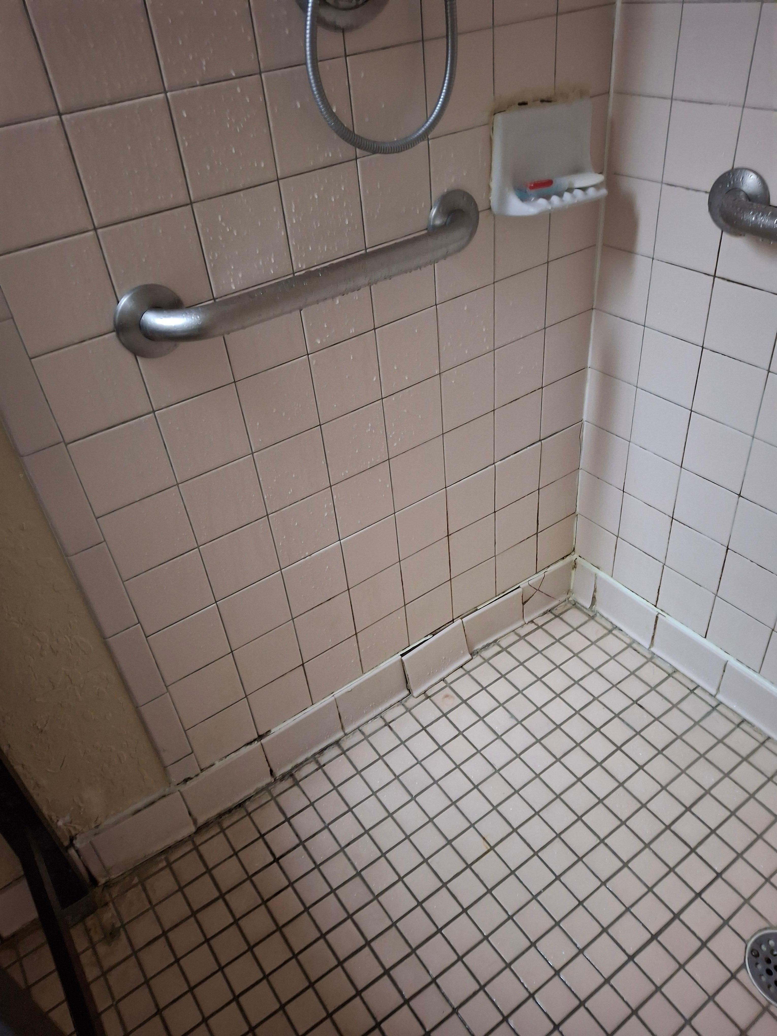 Tiles in shower were damaged and needed grout.   All that water was going behind the wall.