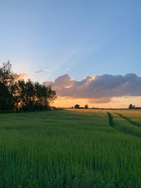 Kvällspromenad precis utanför hotellet