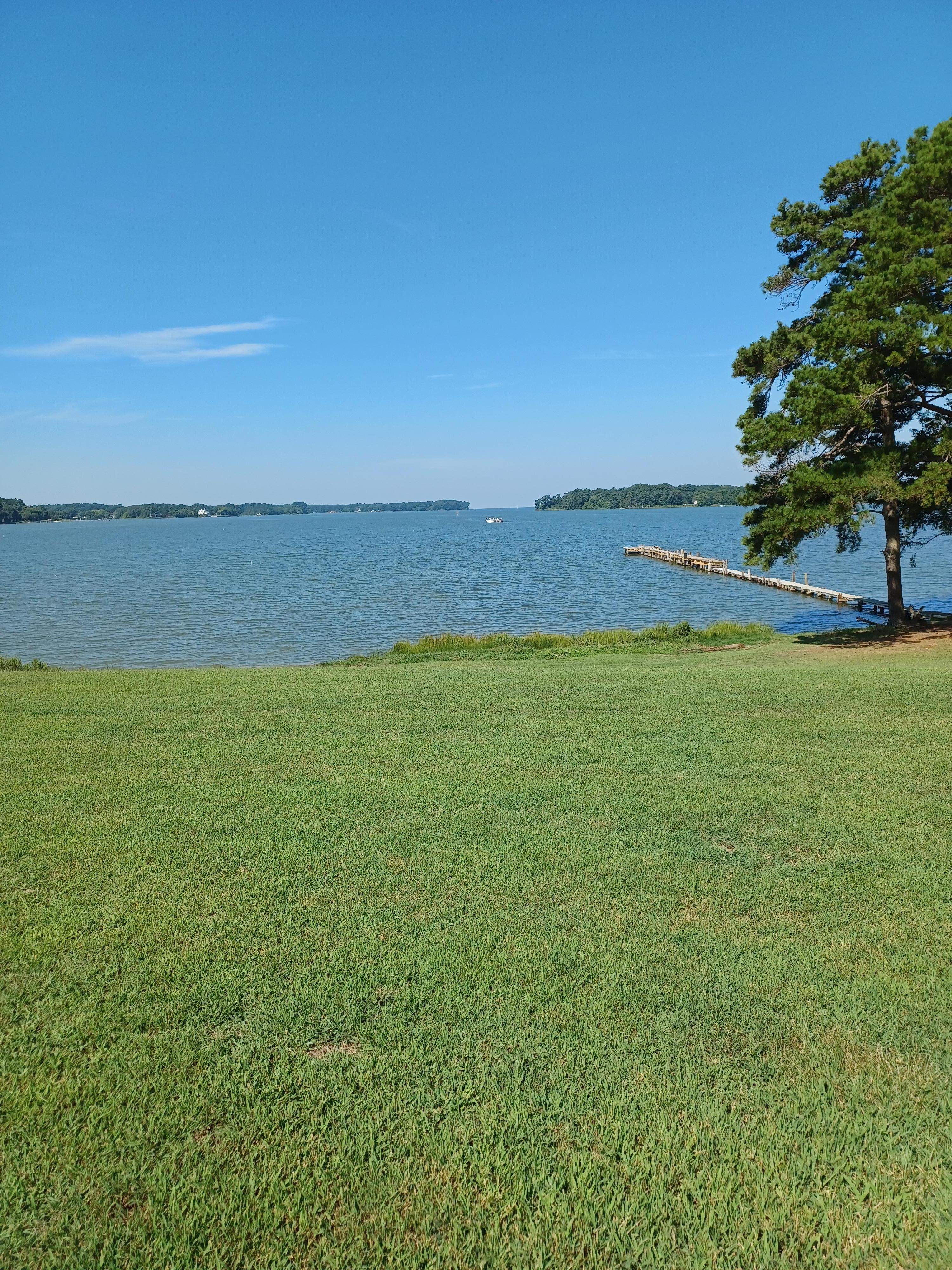 View from house
