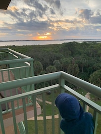 Morning views