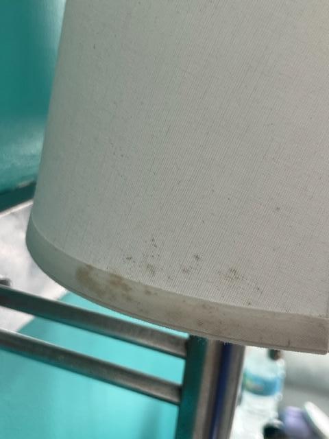 lamp shade with mildew