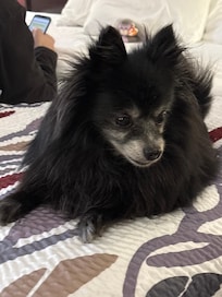 Love this place, and extremely pet friendly!! My first baby even loves this place!!