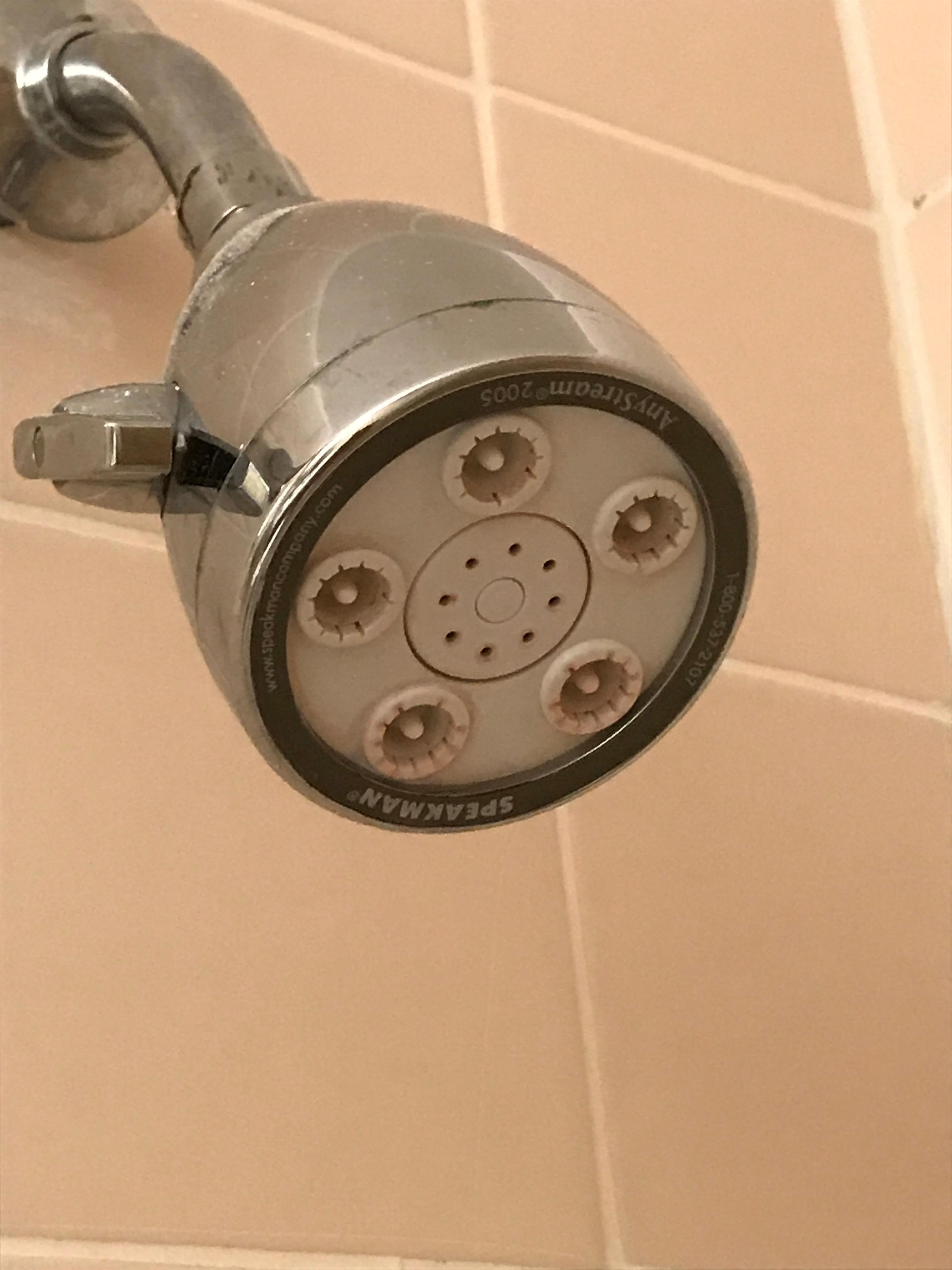 Shower head full of molds