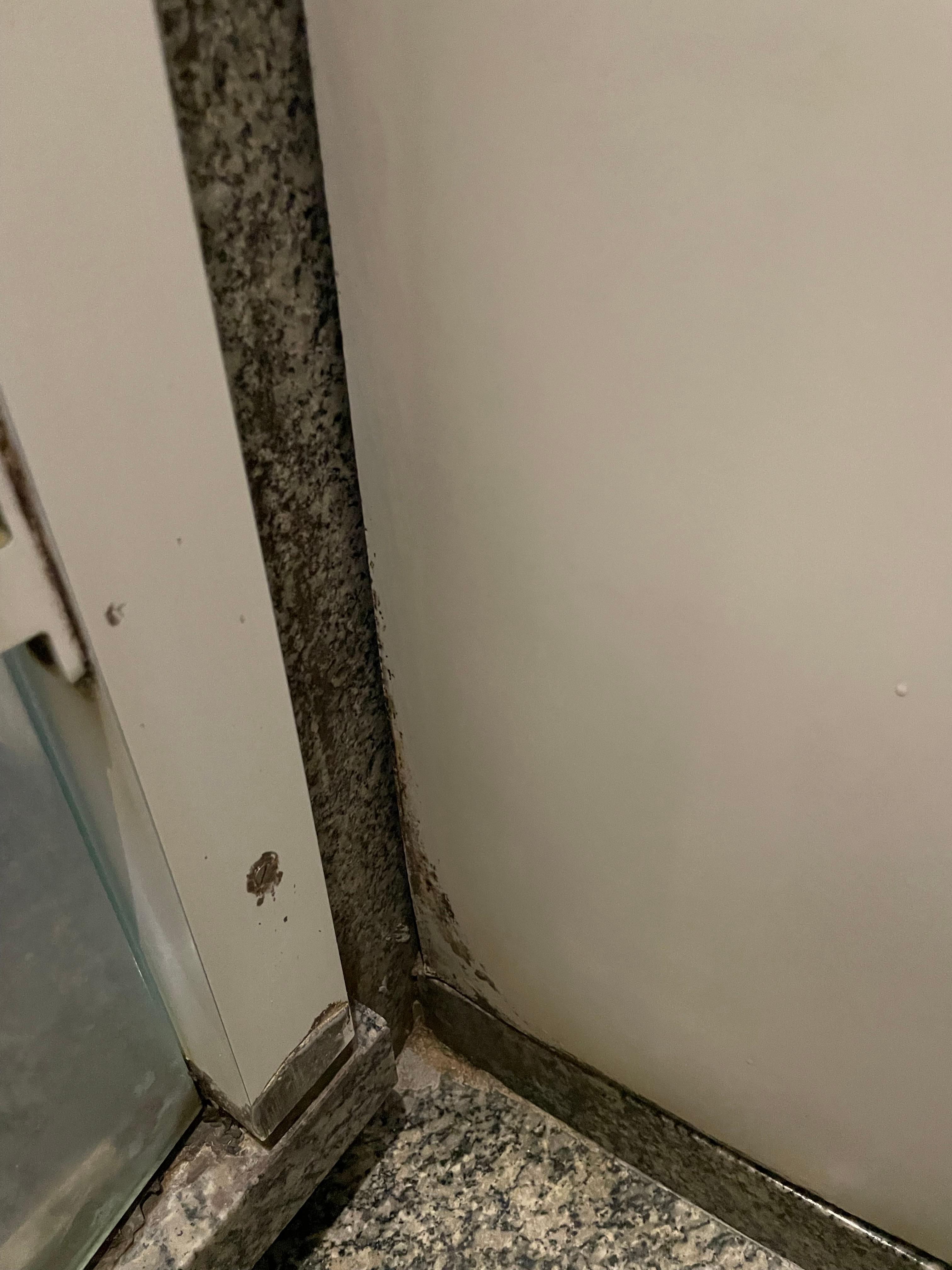 Grime and joints in lining missing outside of shower