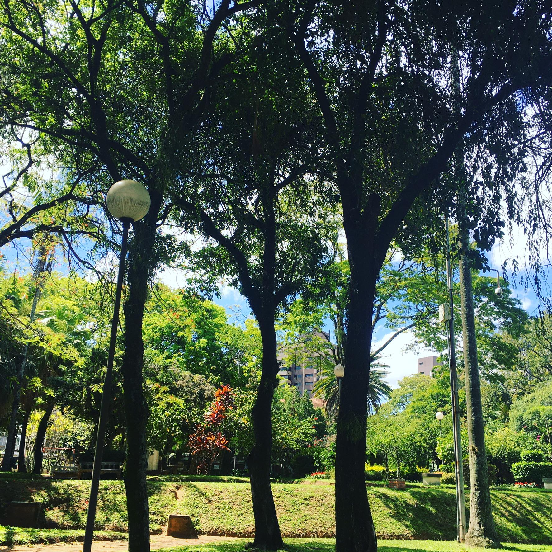 Beautiful park facing hotel