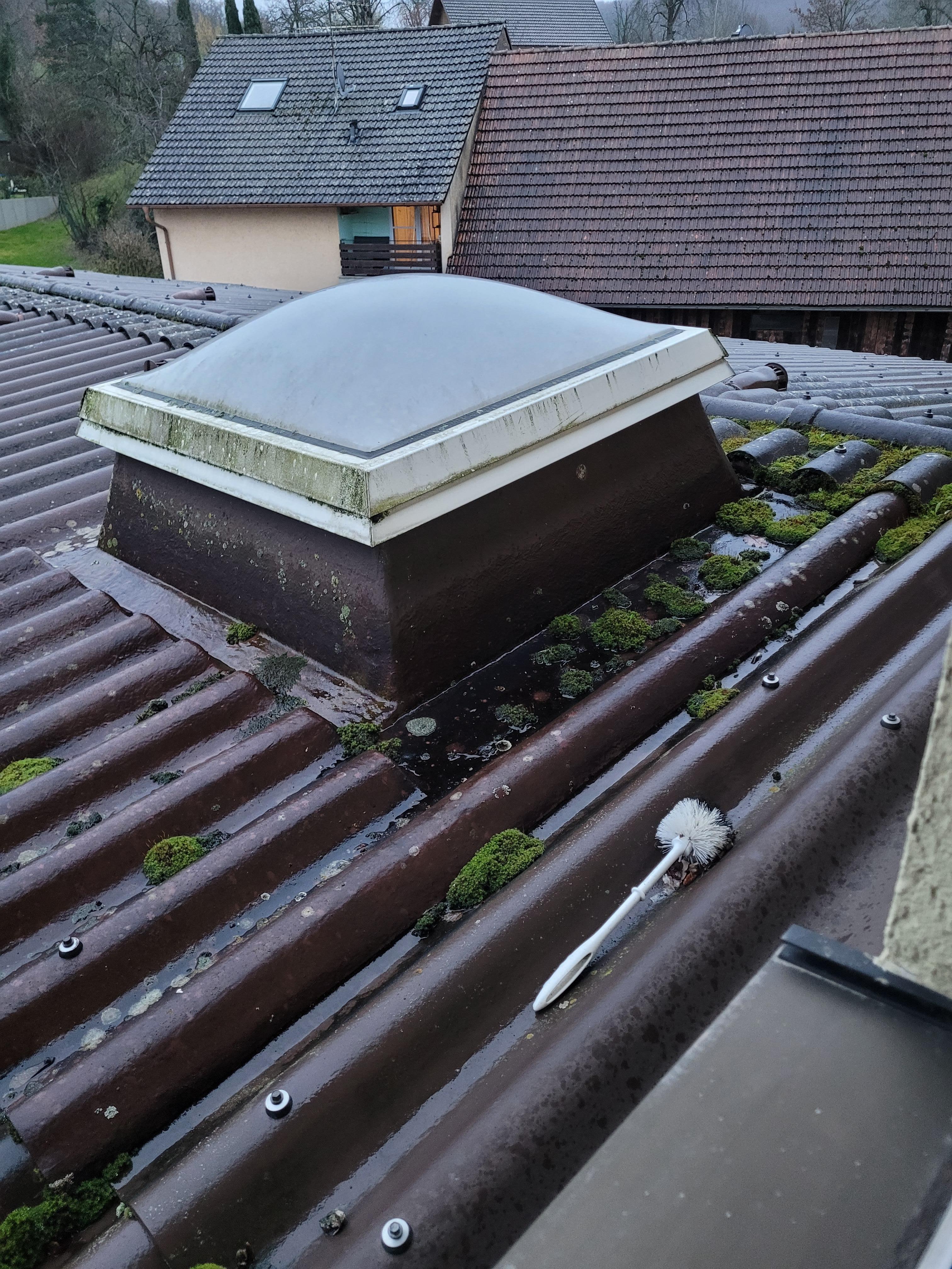 Toller Ausblick aus dem Badezimmer auf eine Toilettenbürste!!