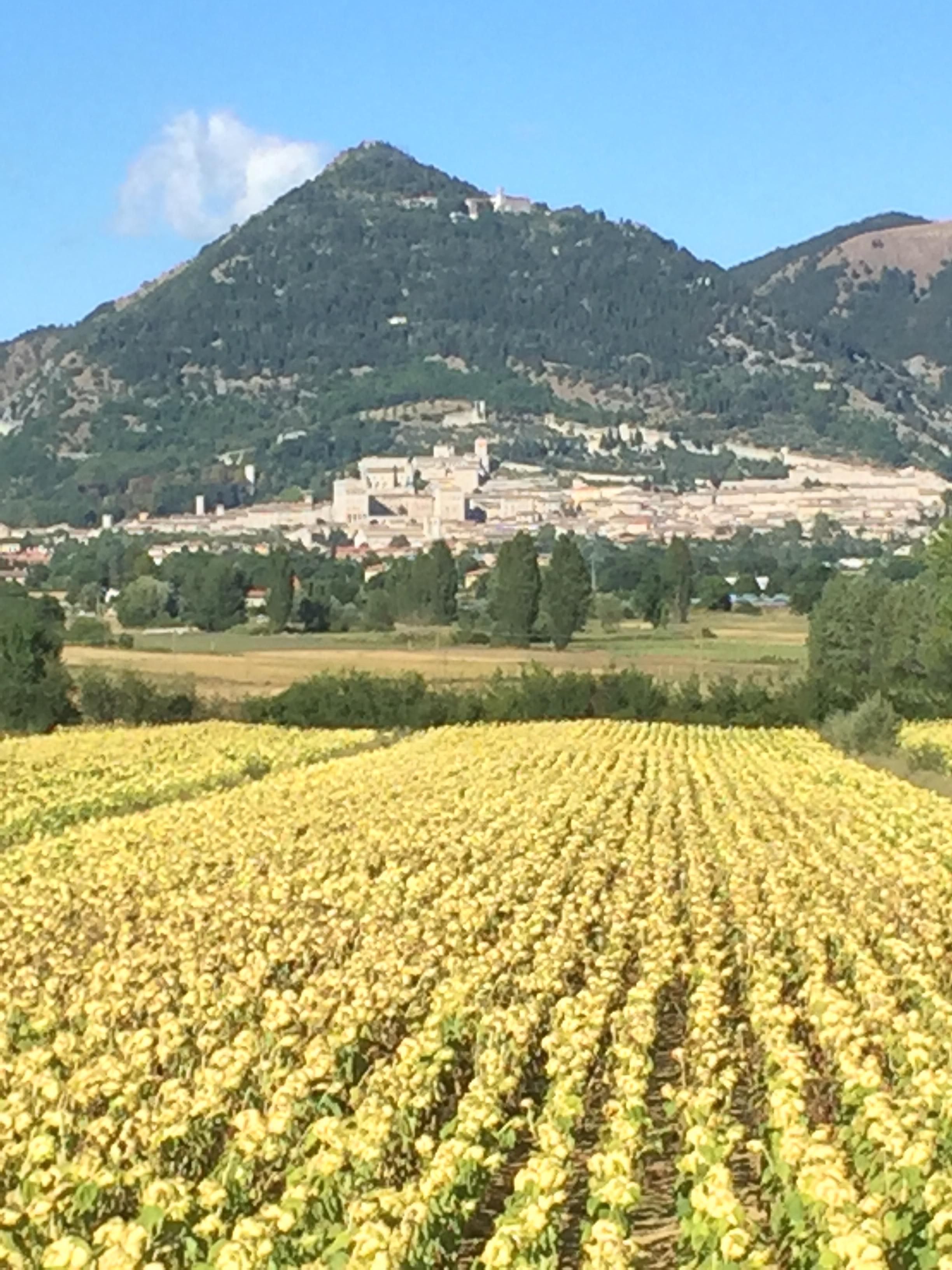 Lungo la strada