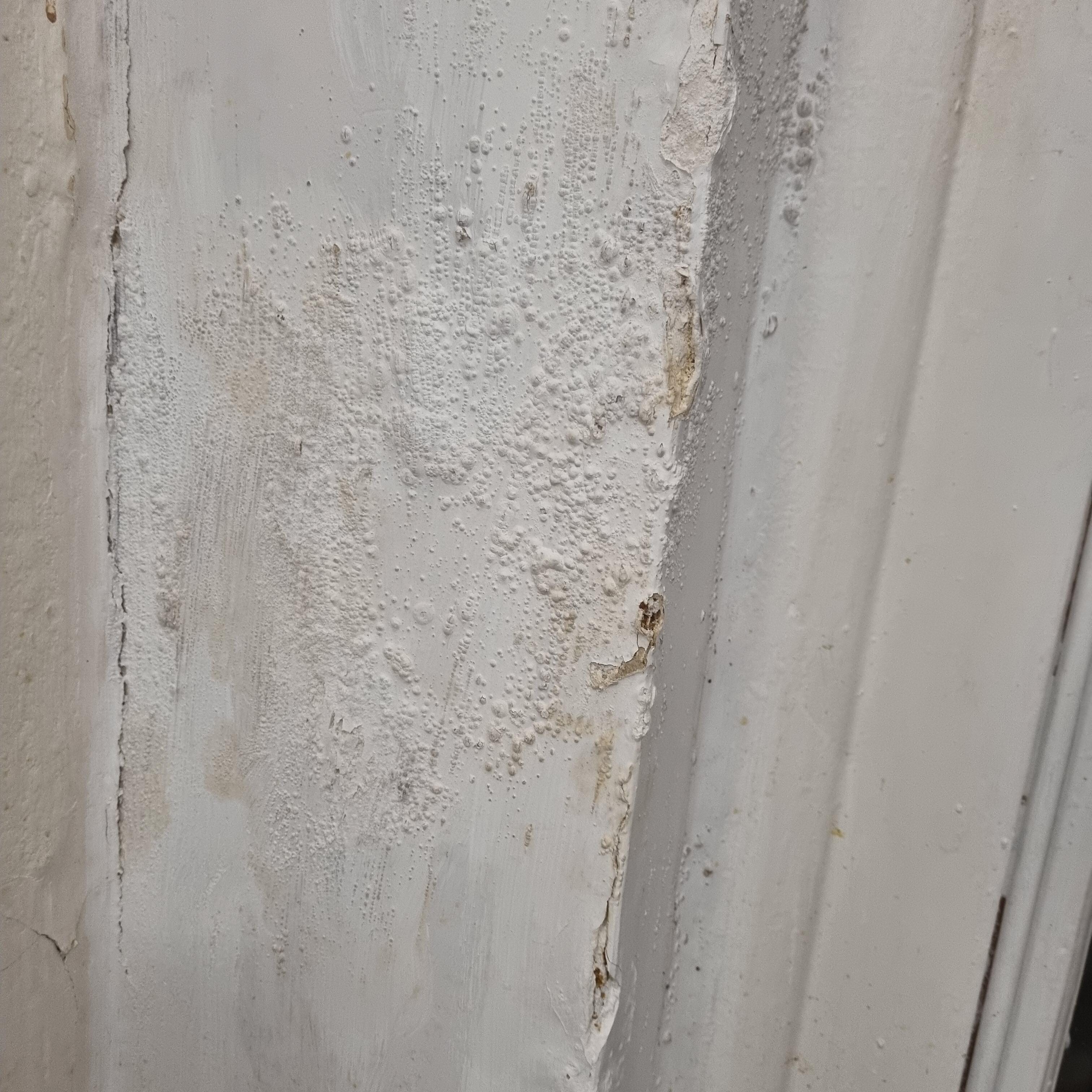 Damp health hazard
