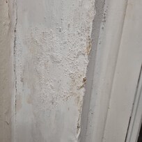 Damp health hazard