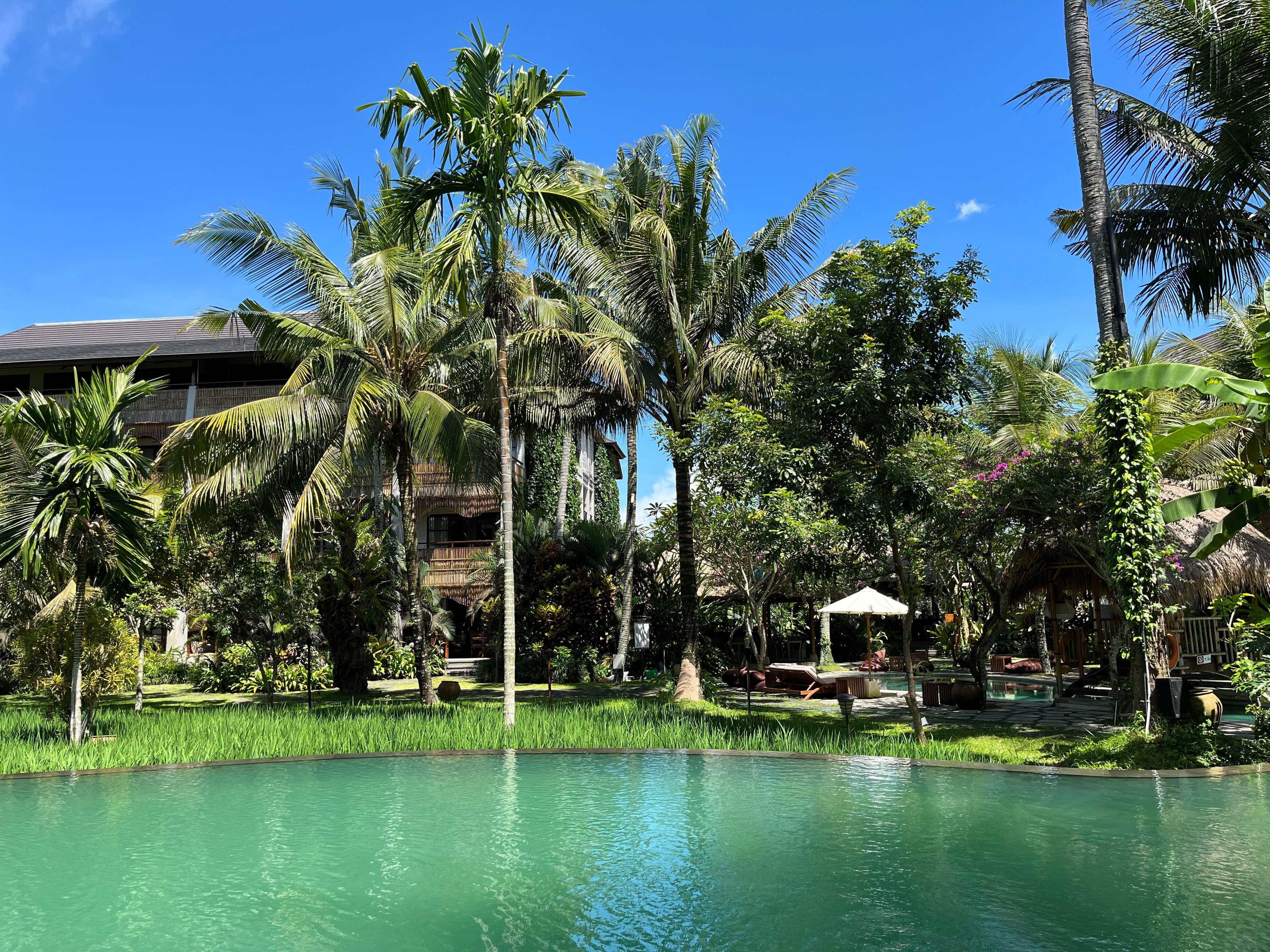 Pool area.