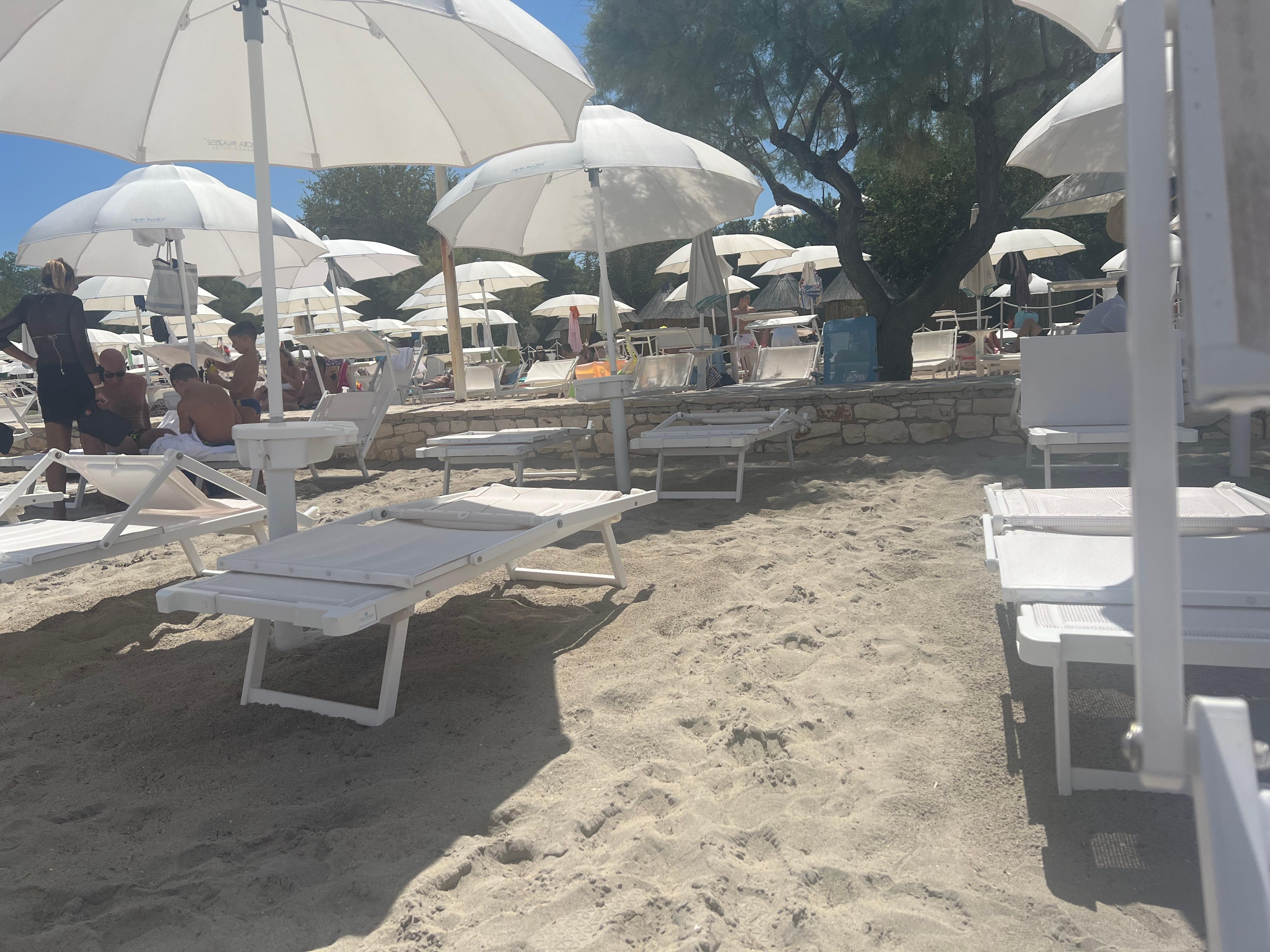 Empty beach chairs 