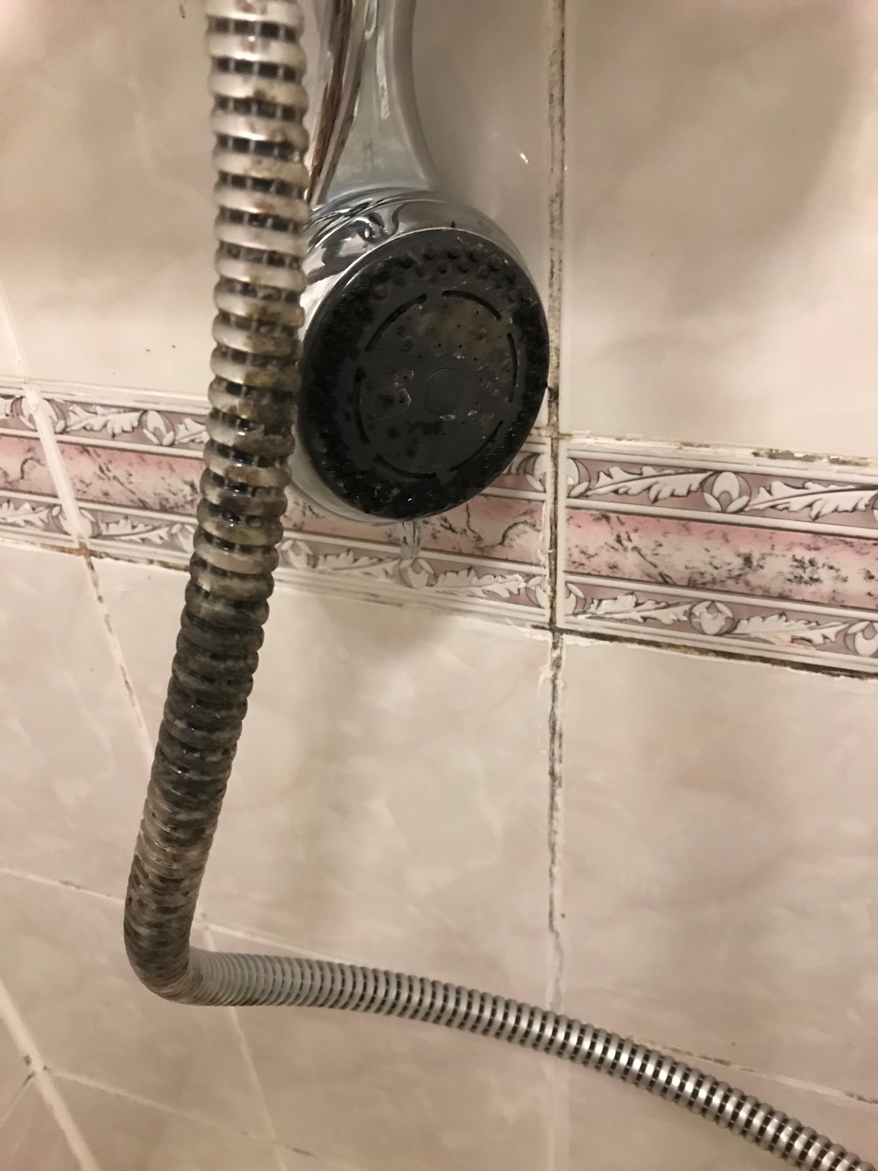 Shower head