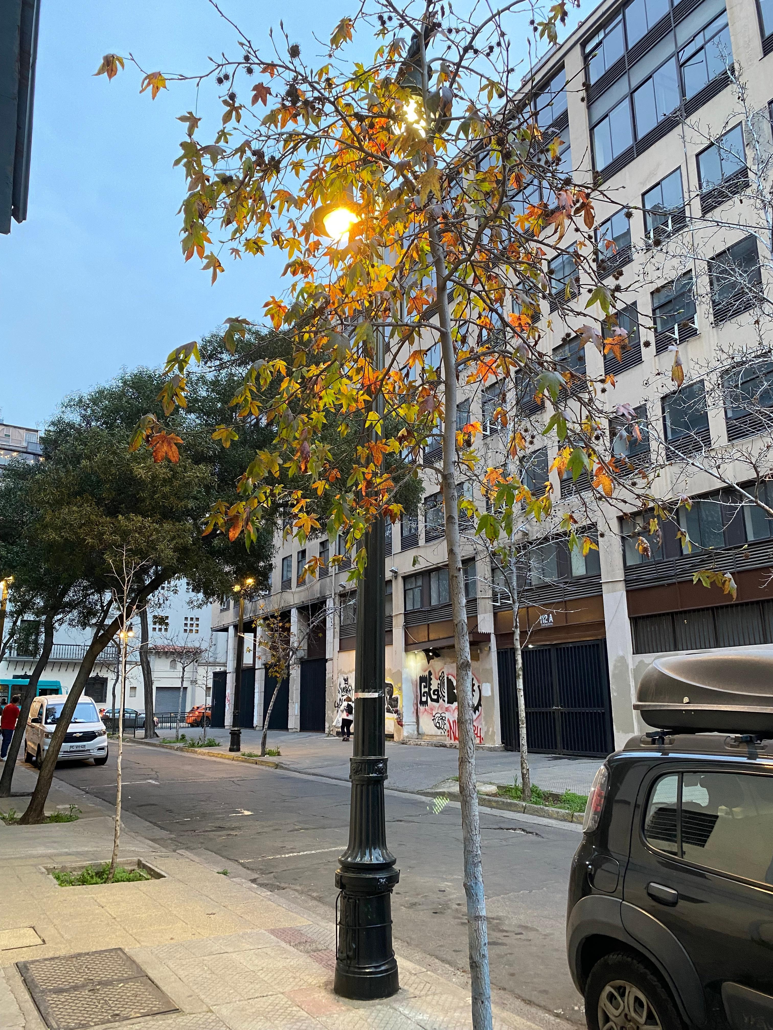 Entrada