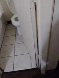Hair and dirt in and around the whole bathroom.