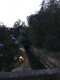 Masser af mulig for at gå i naturen som er helt tæt på