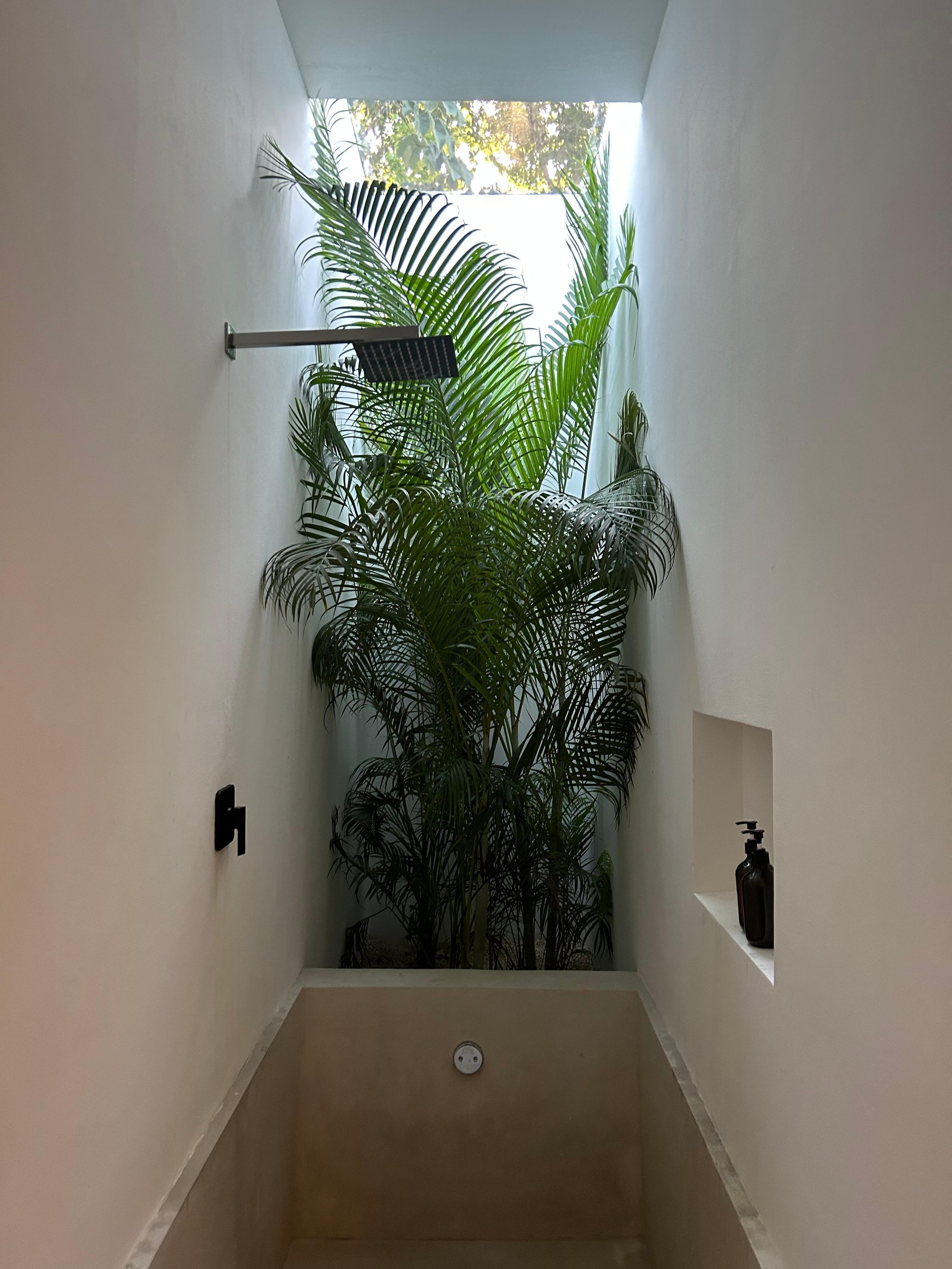 The shower and soaking tub feels like you’re in the jungle