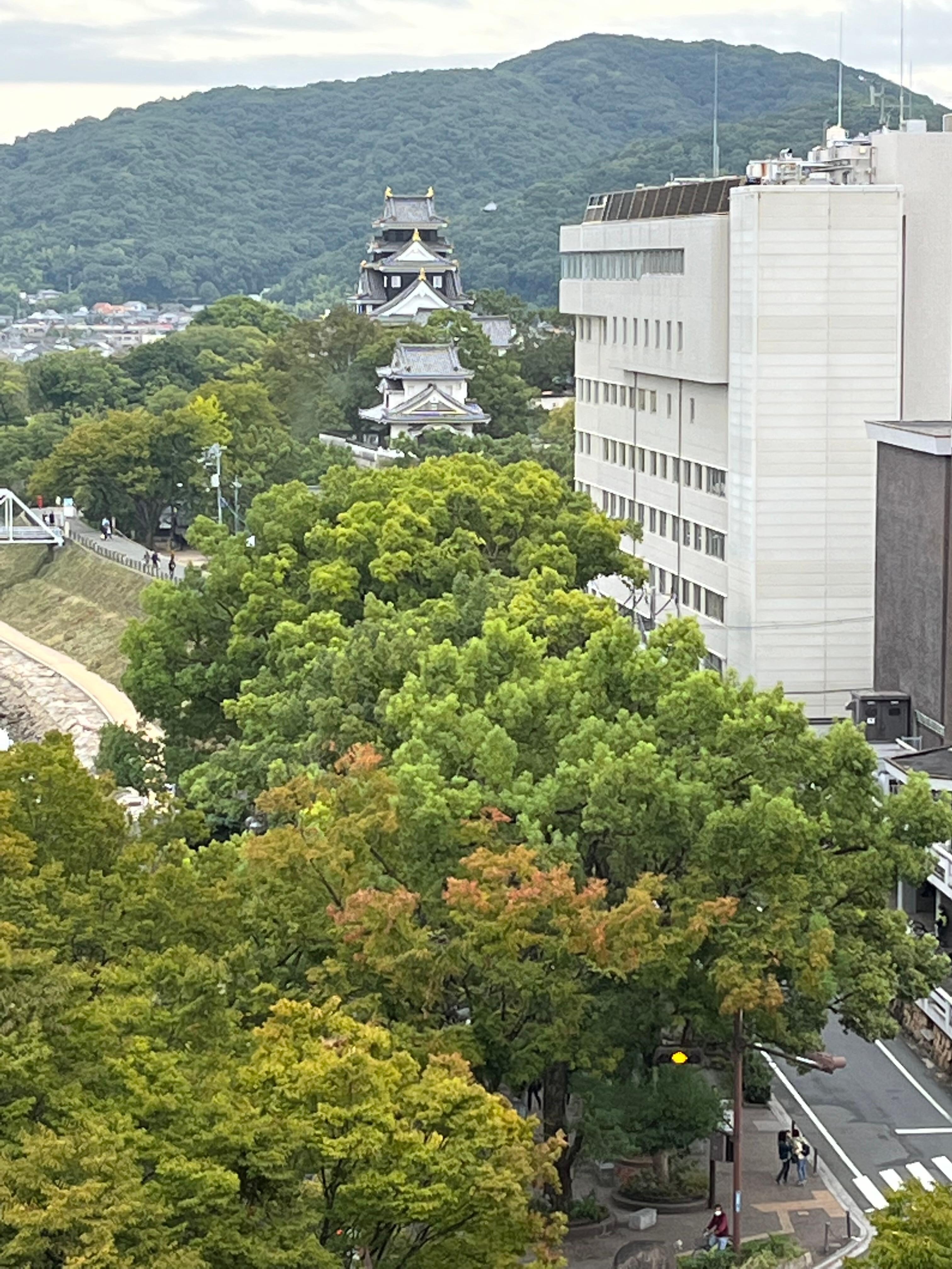 部屋からの景色最高