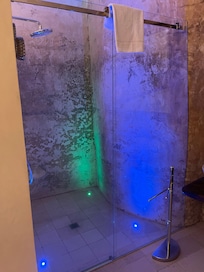 The shower in our room, so spacious