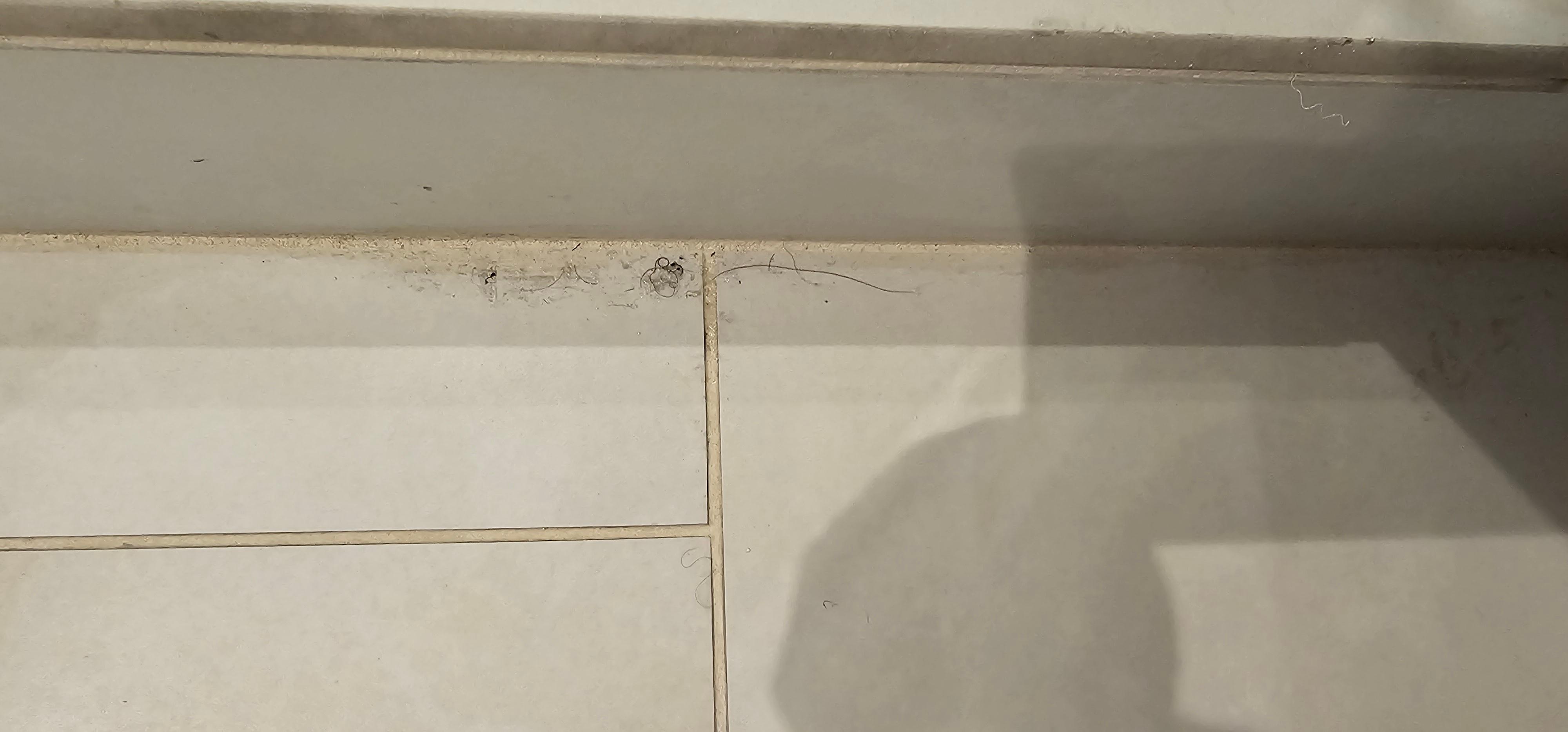 hair on floor near shower entrance 