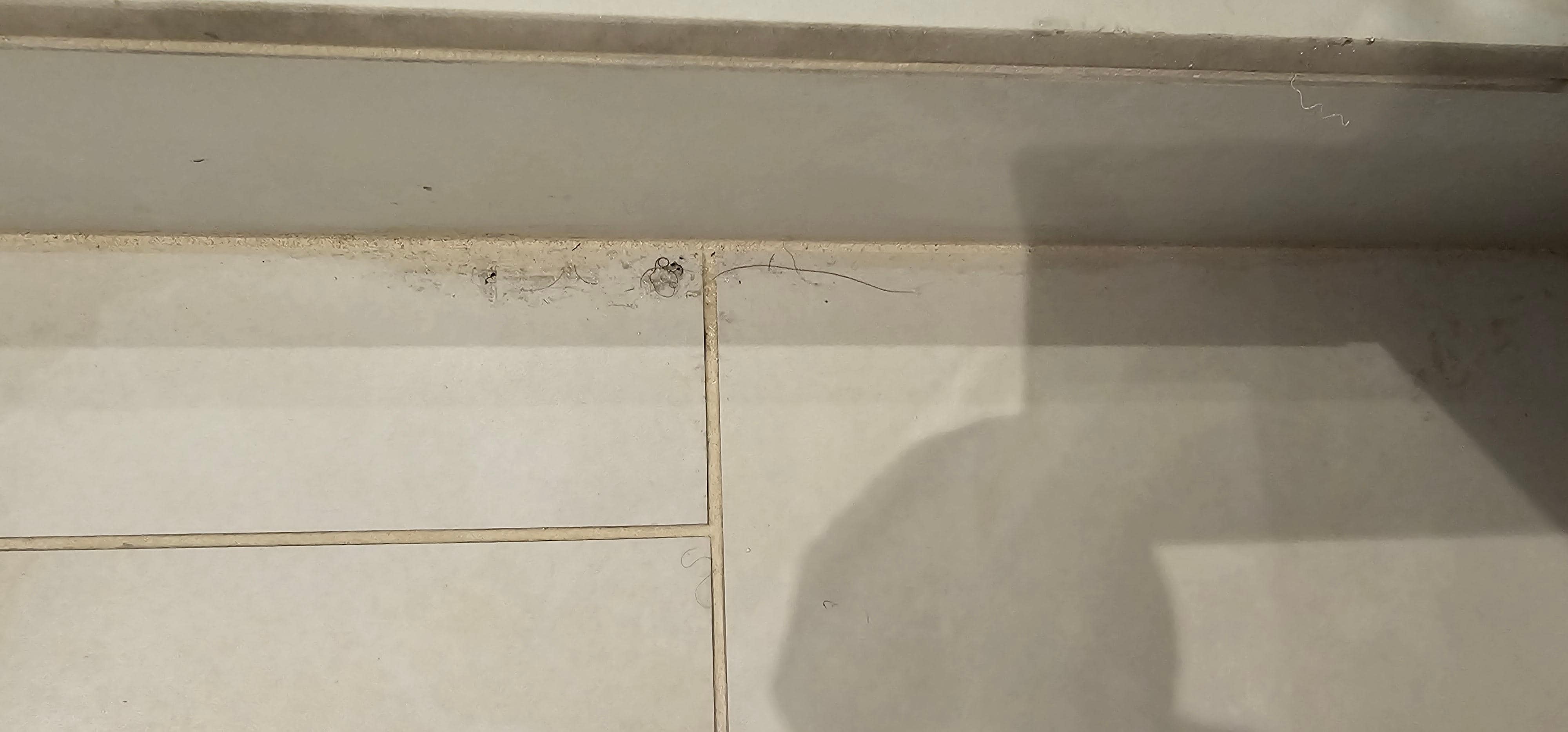 hair on floor near shower entrance
