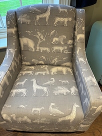 Imaginative chair covers