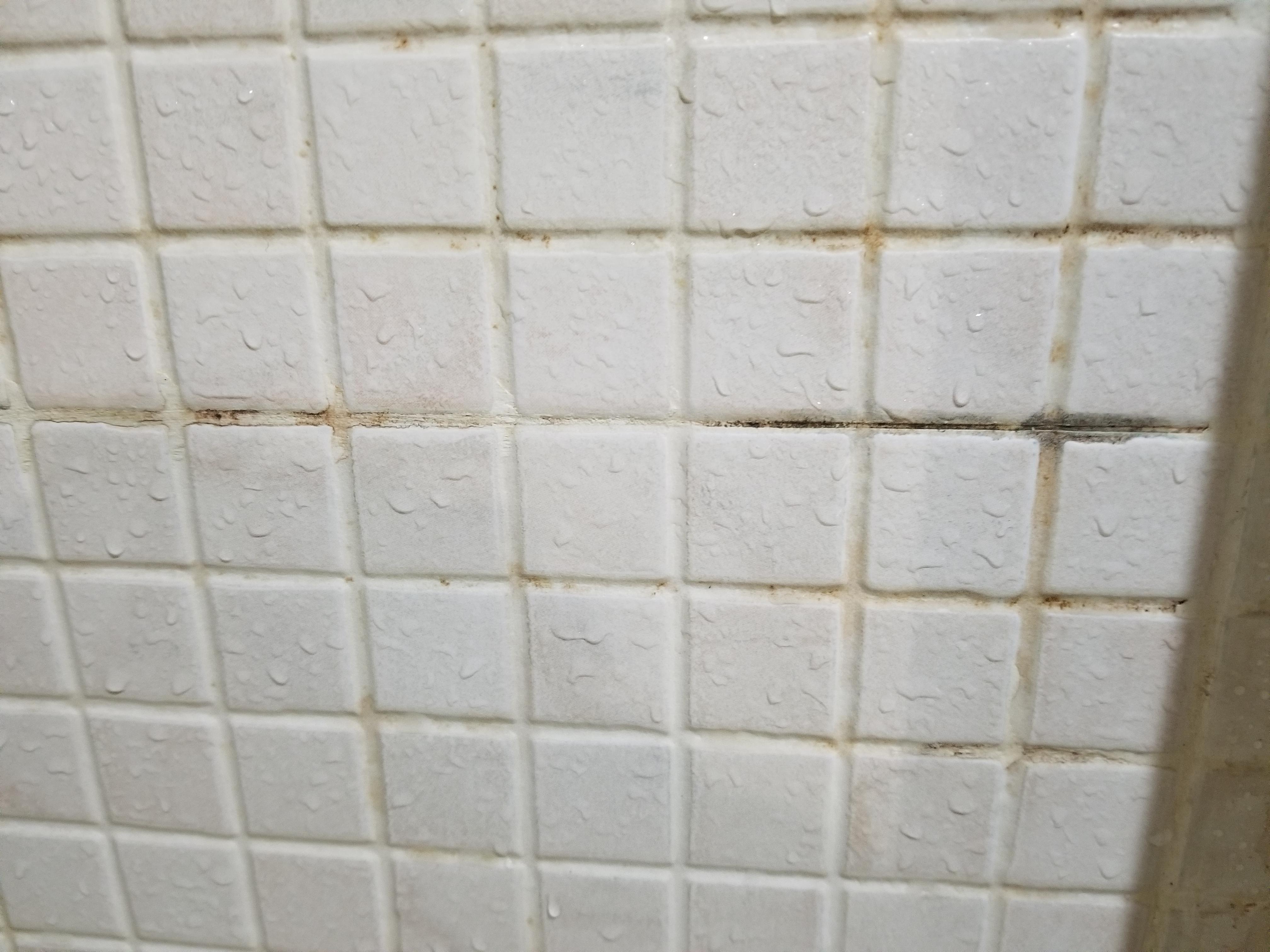 Shower walls