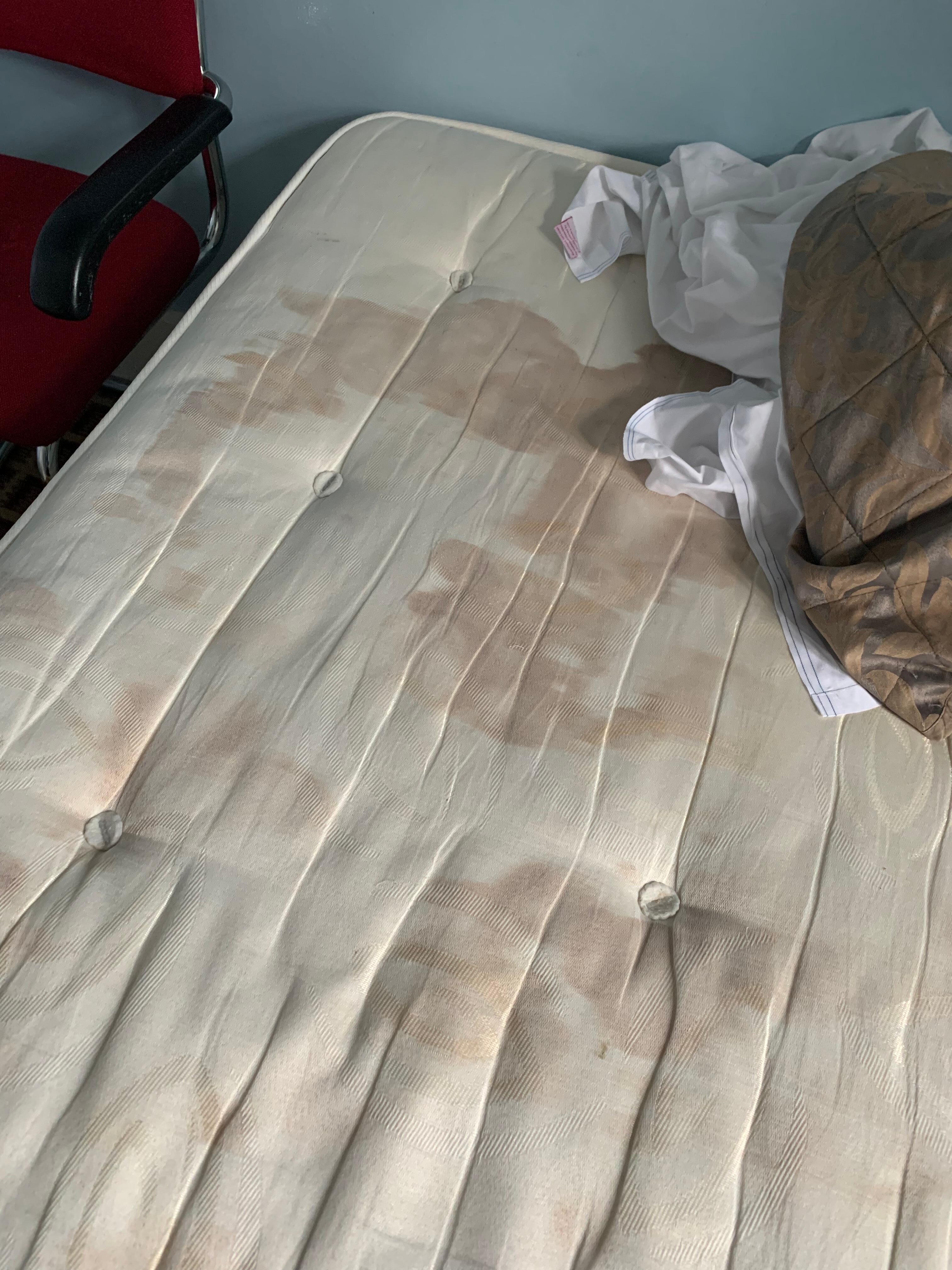 The bed!