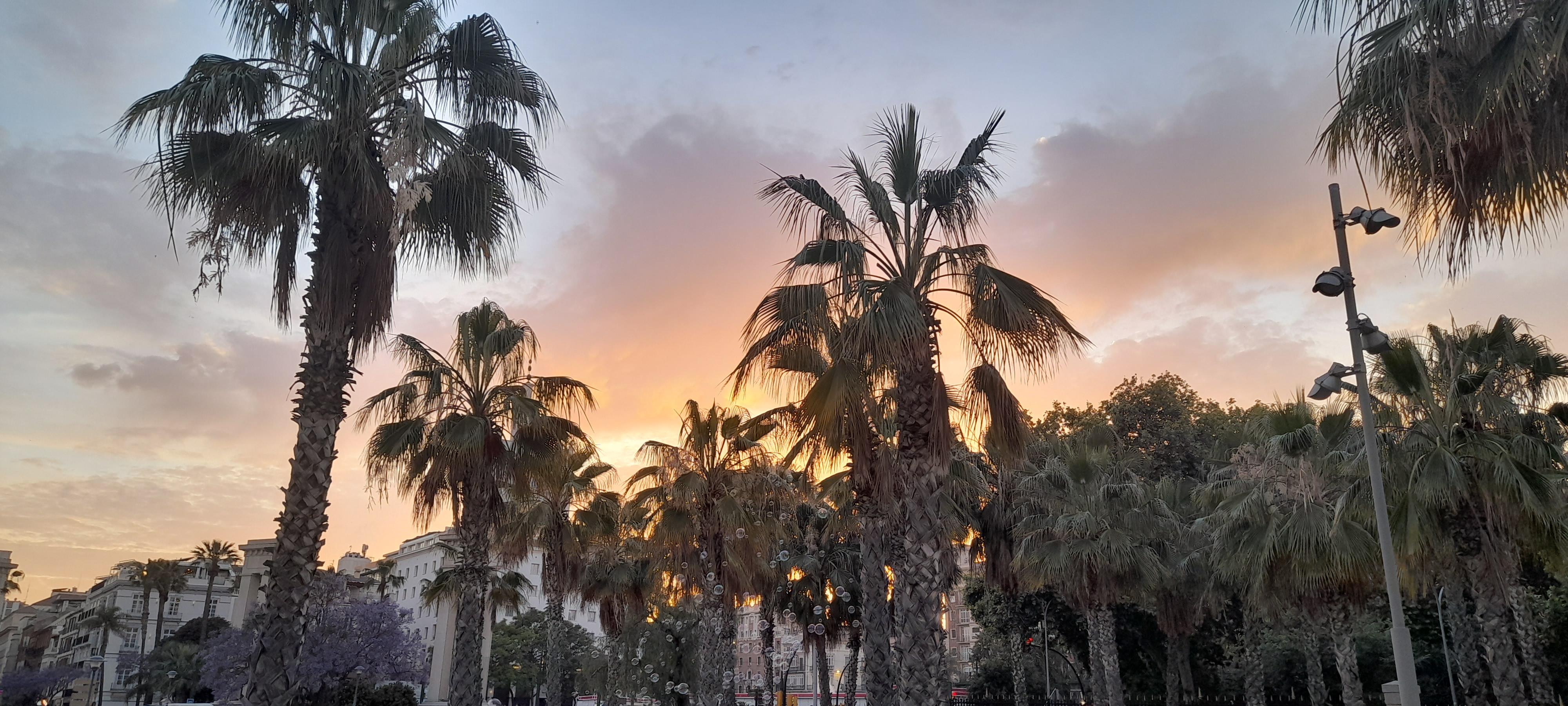 Amazing sunsets