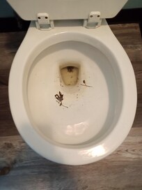 The Toilet