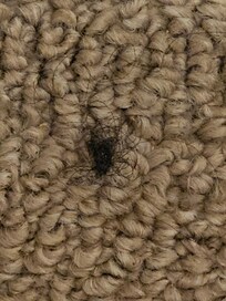 Hairball on the bedsheets