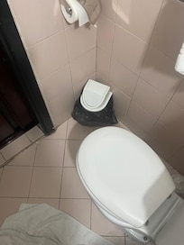 Apenas se hay sitio para sentarse en el inodoro