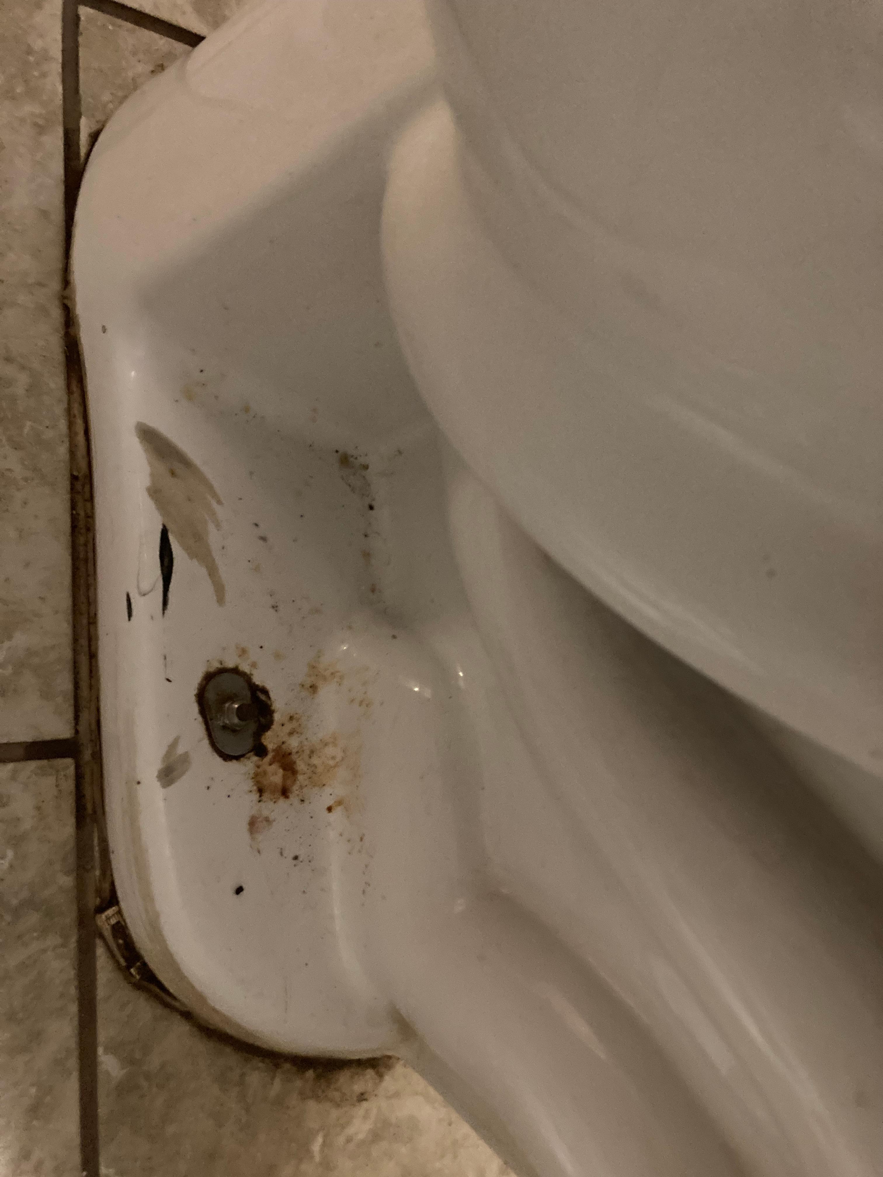 Dirty Toilet 