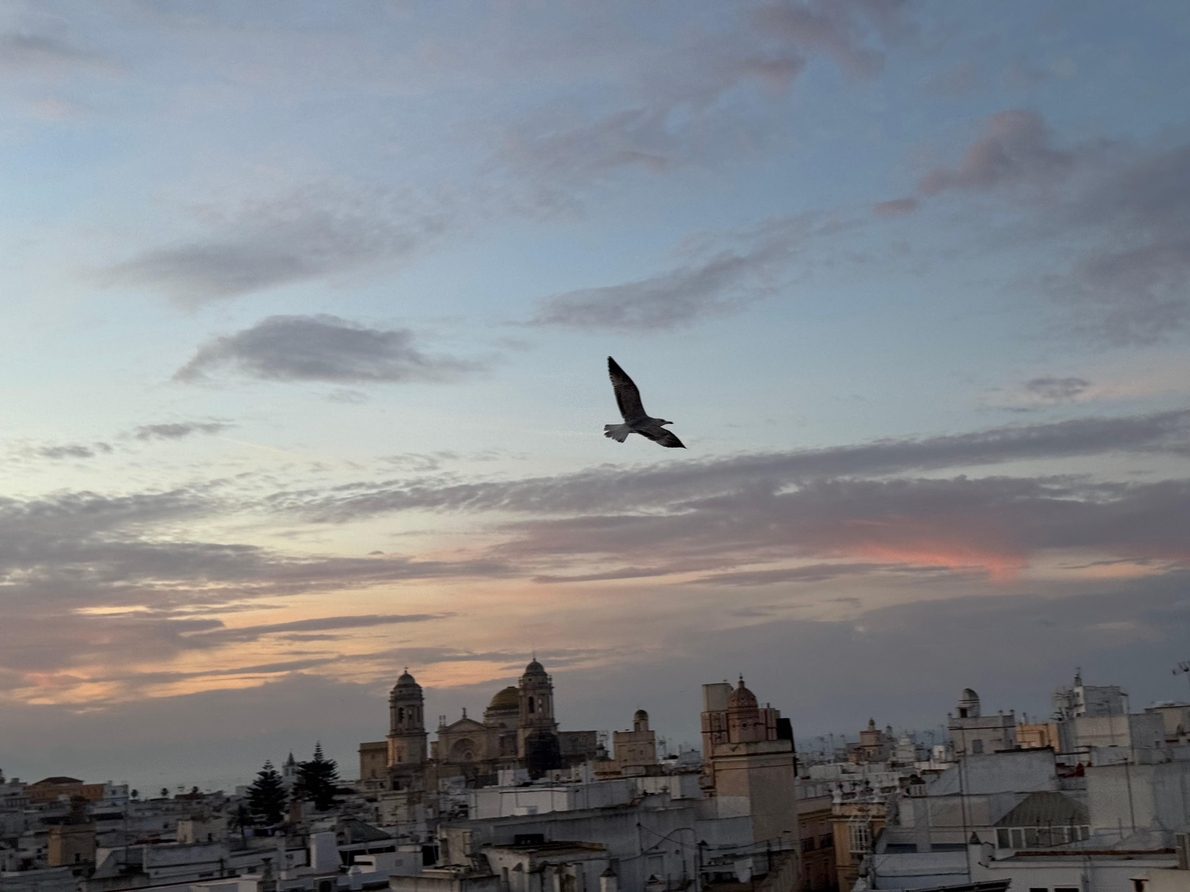 View from terrace