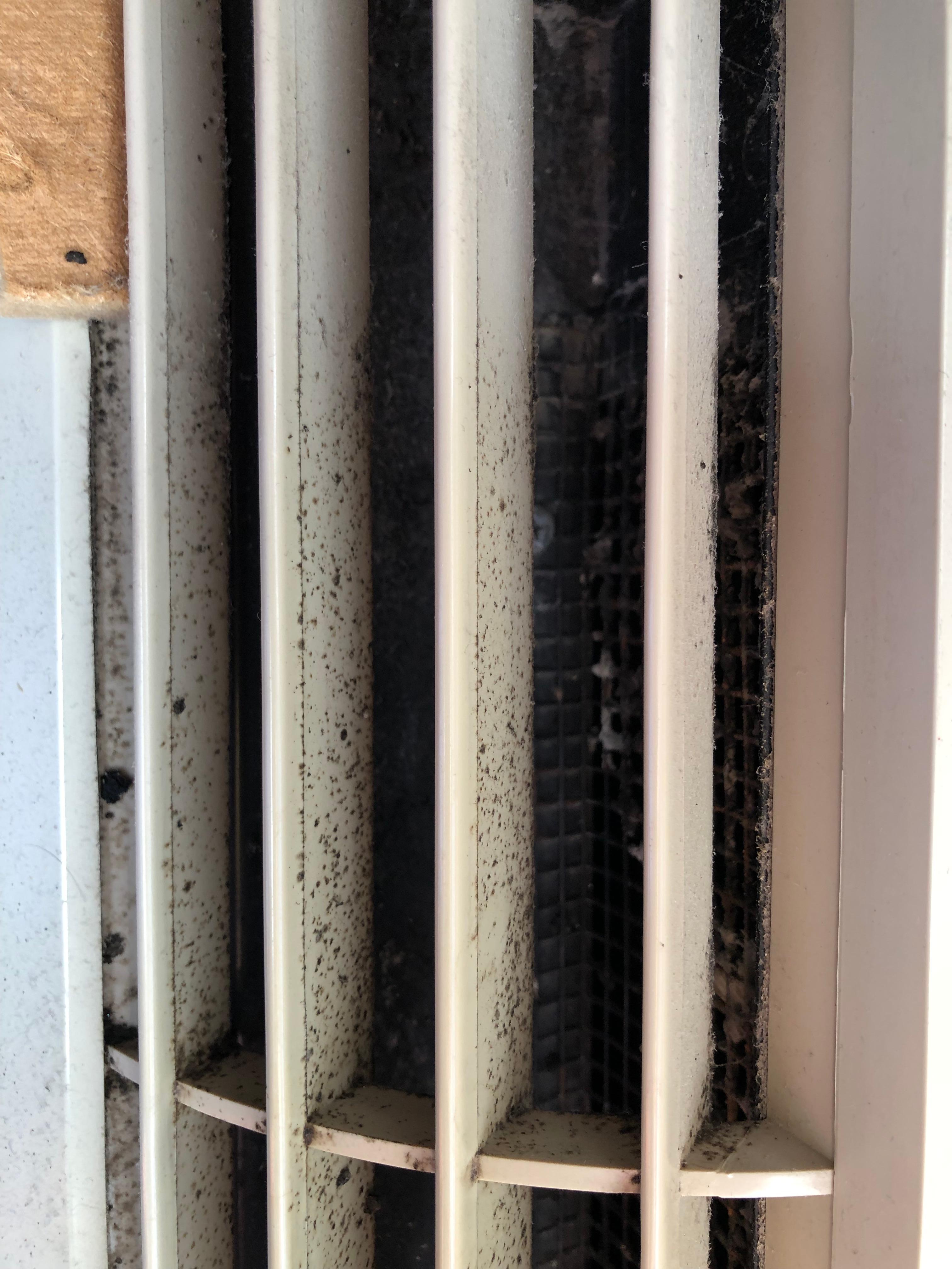 Black mold in the heating/air unit. 