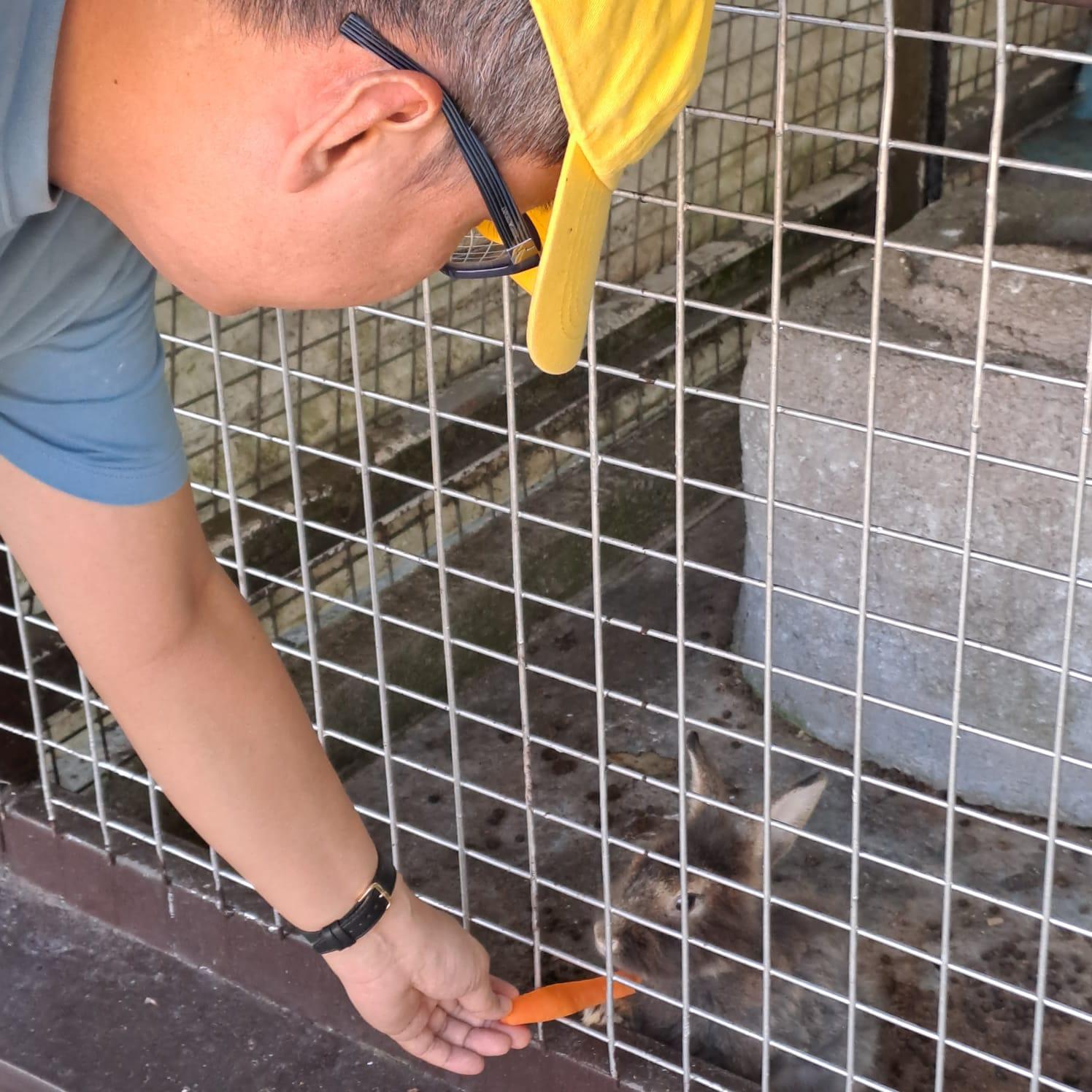 My brother and I fed a goat, a few horses and several rabbits with carrots. After that, we threw pieces of bread into a pond and fed many huge black-coloured fish.