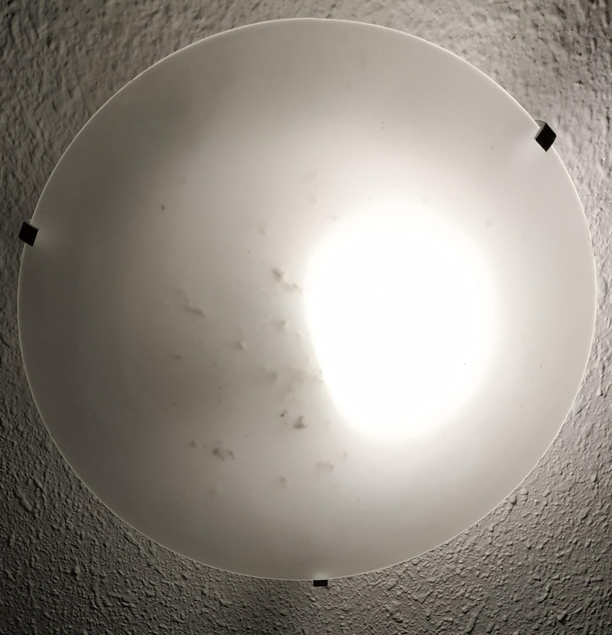 Les insectes dans le plafonnier