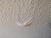 Water formed in a bubble behind wallpaper where my son slept....