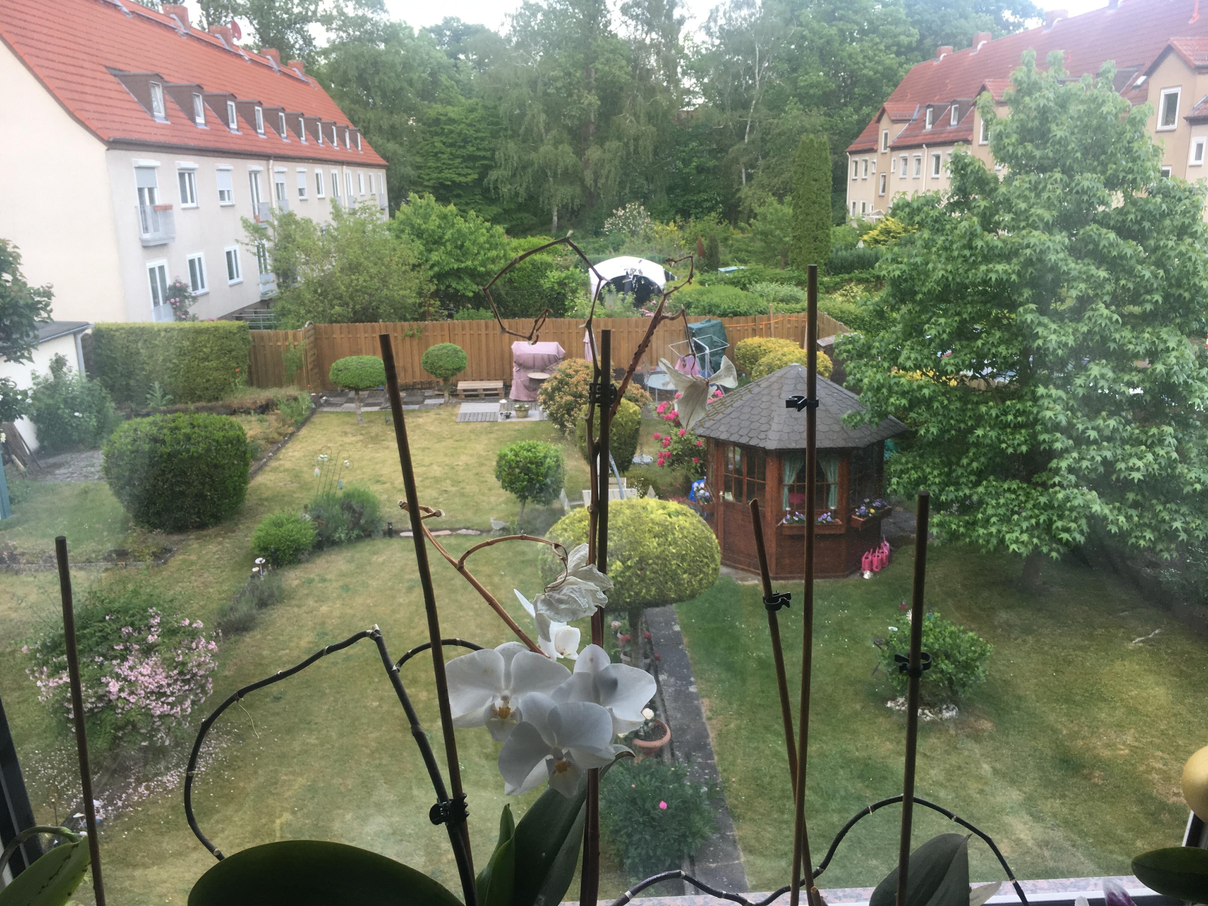 petit jardin derrière l'appartement