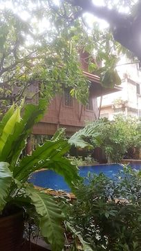 Vue jardin intérieur