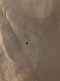 This is the cover of the other bed, also with holes in it!