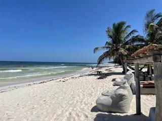 Beach club views