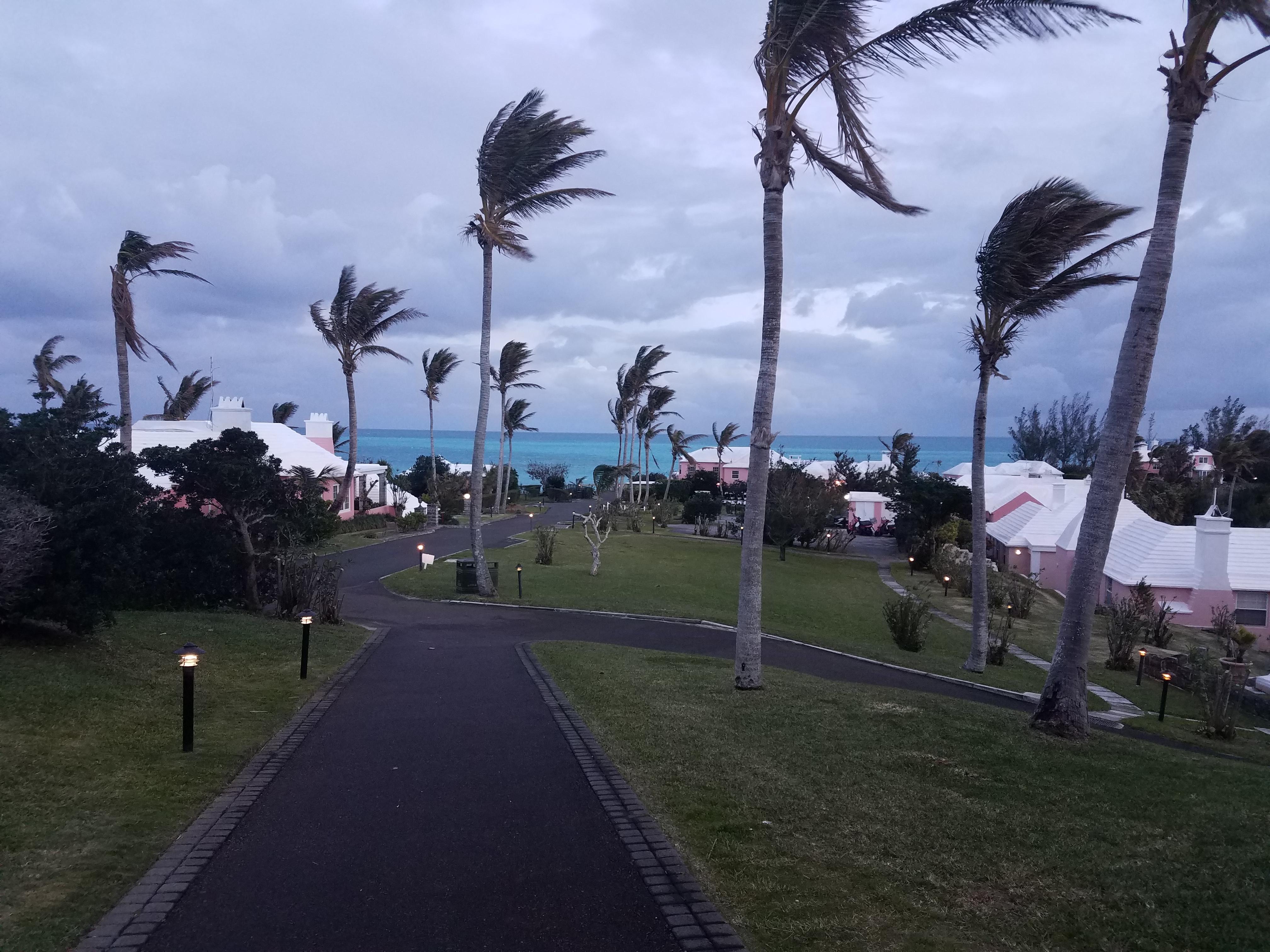 View from my room