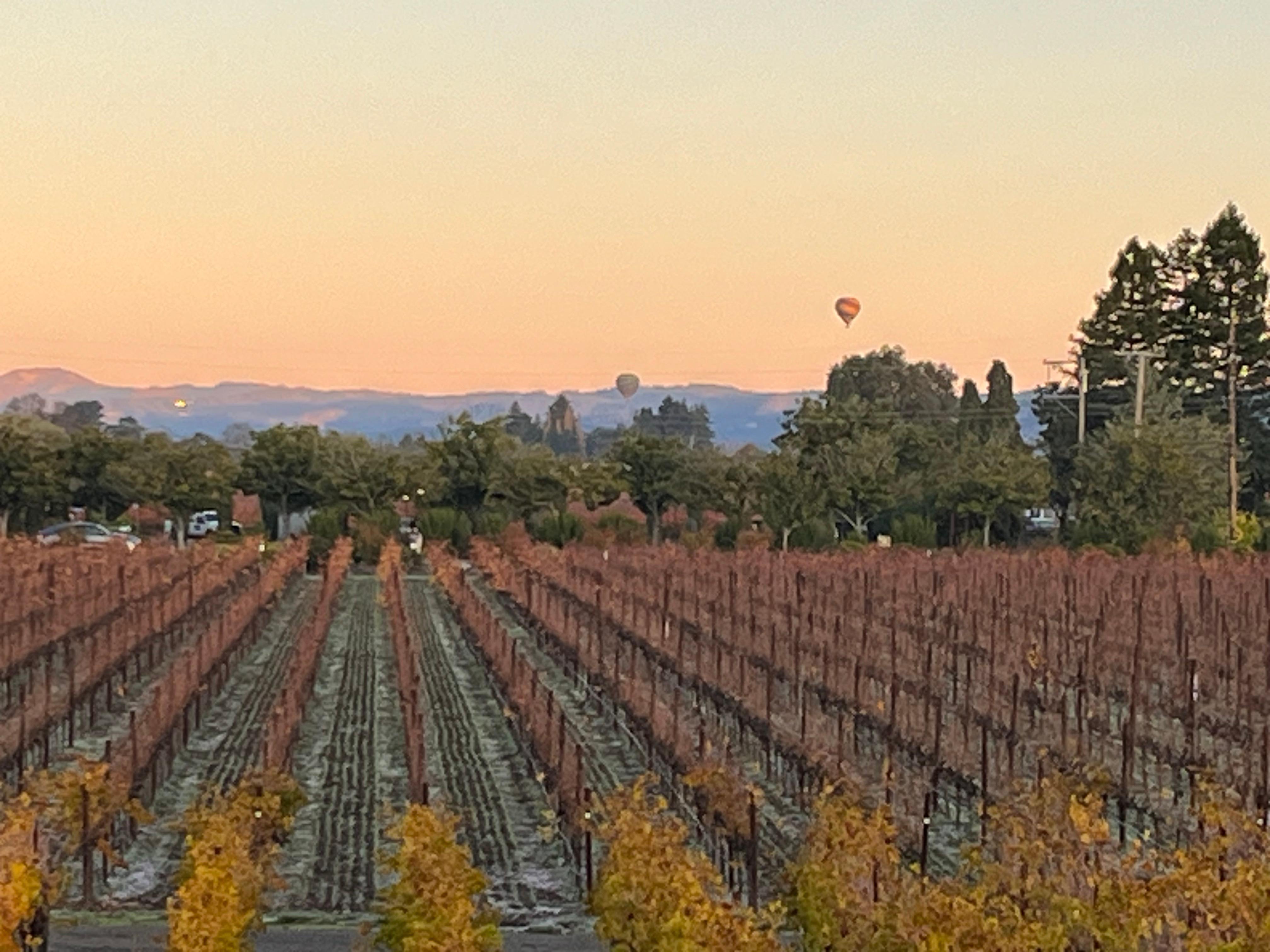 amazing scene at 7am - see the hot air balloons?