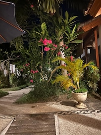 Magnifiques fleurs un peu partout