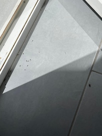 These aren’t even all the bugs and dirt!