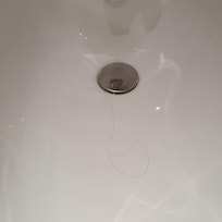 Haar im Bidet von Gast zuvor